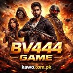 BV444 Game