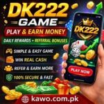 DK222 Game