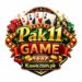 PK11 Game