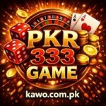 PKR333 Game