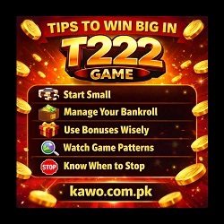 T222 Game